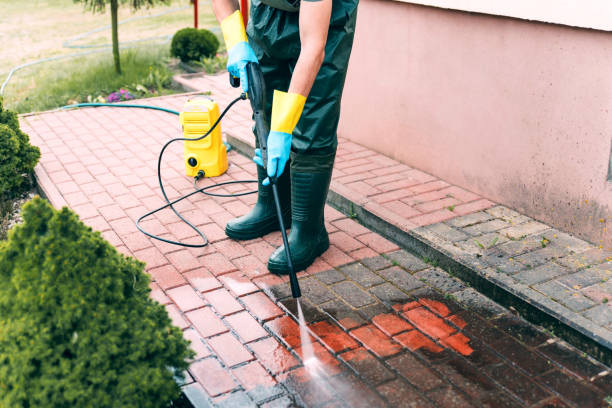 Best Residential Pressure Washing Services  in Montegut, LA