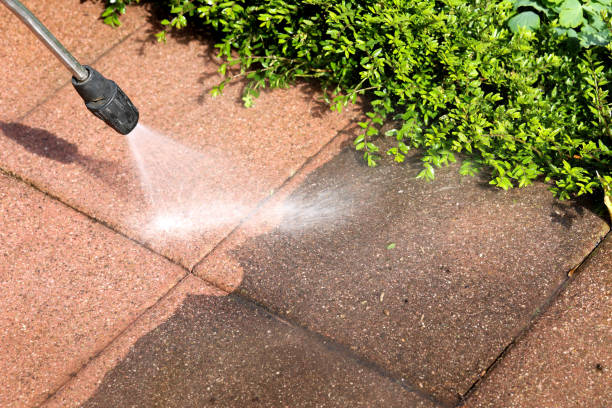 Montegut, LA Pressure Washing Company